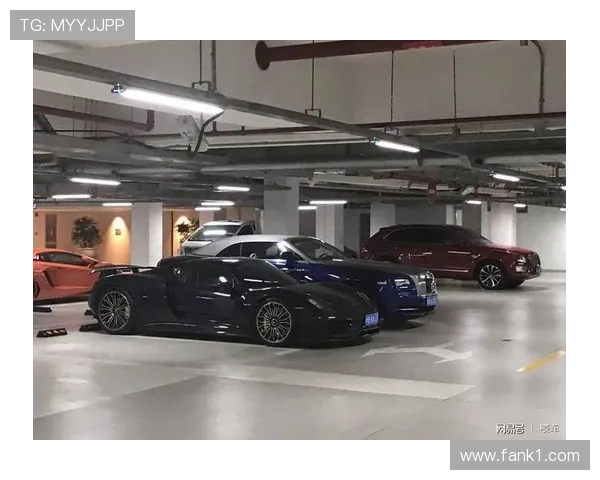 林孝埈又换豪车了，车库都快当展览馆了？