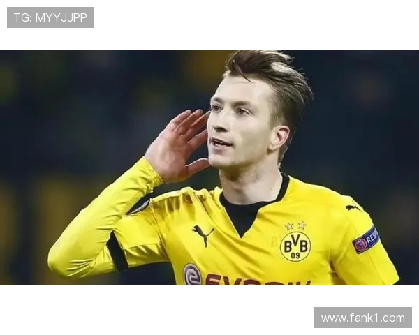 维尔茨与罗伊斯：伤病影响下的天才生涯轨迹对比